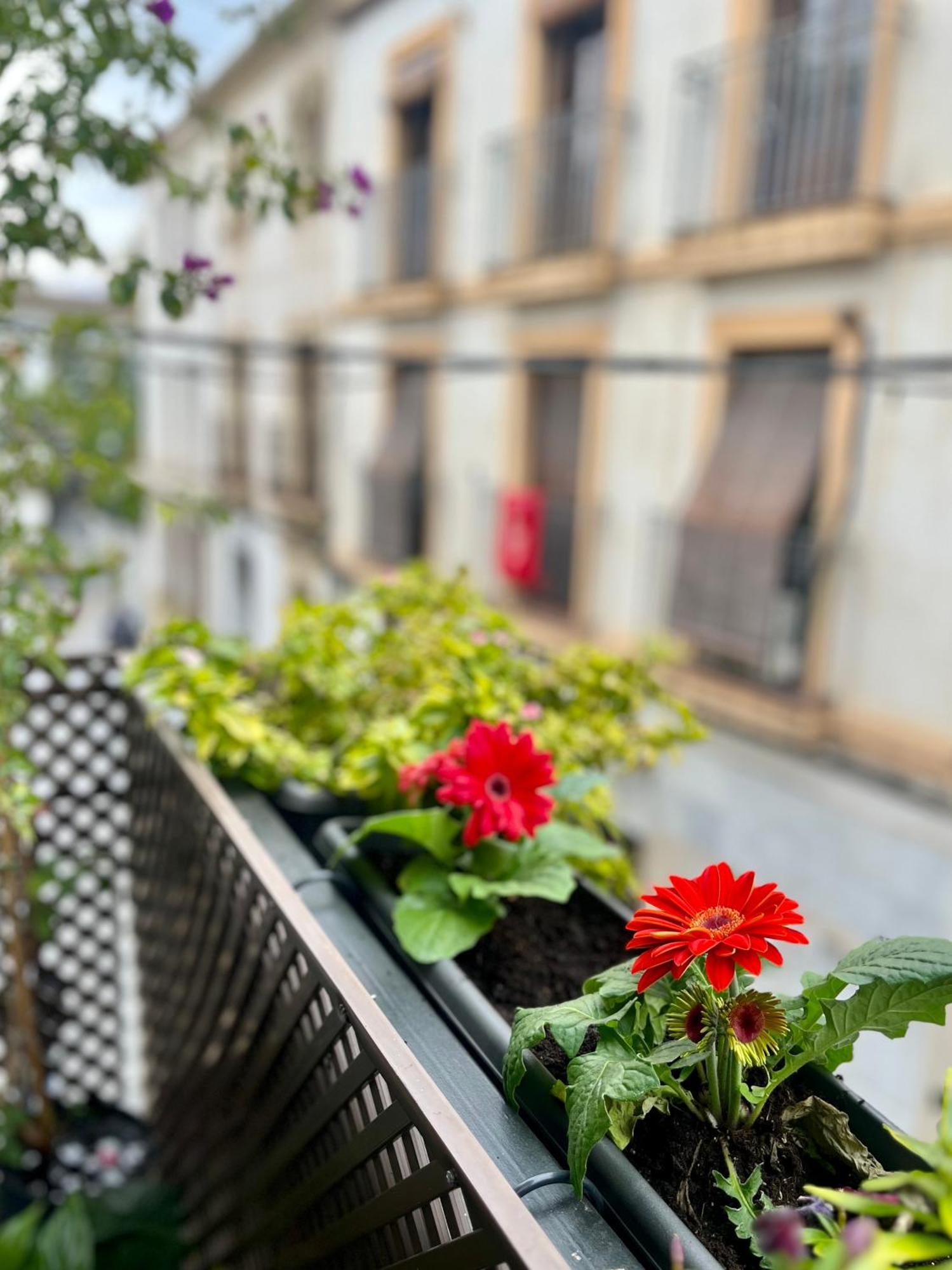 Apartament La Casa De Char Kordoba Zewnętrze zdjęcie