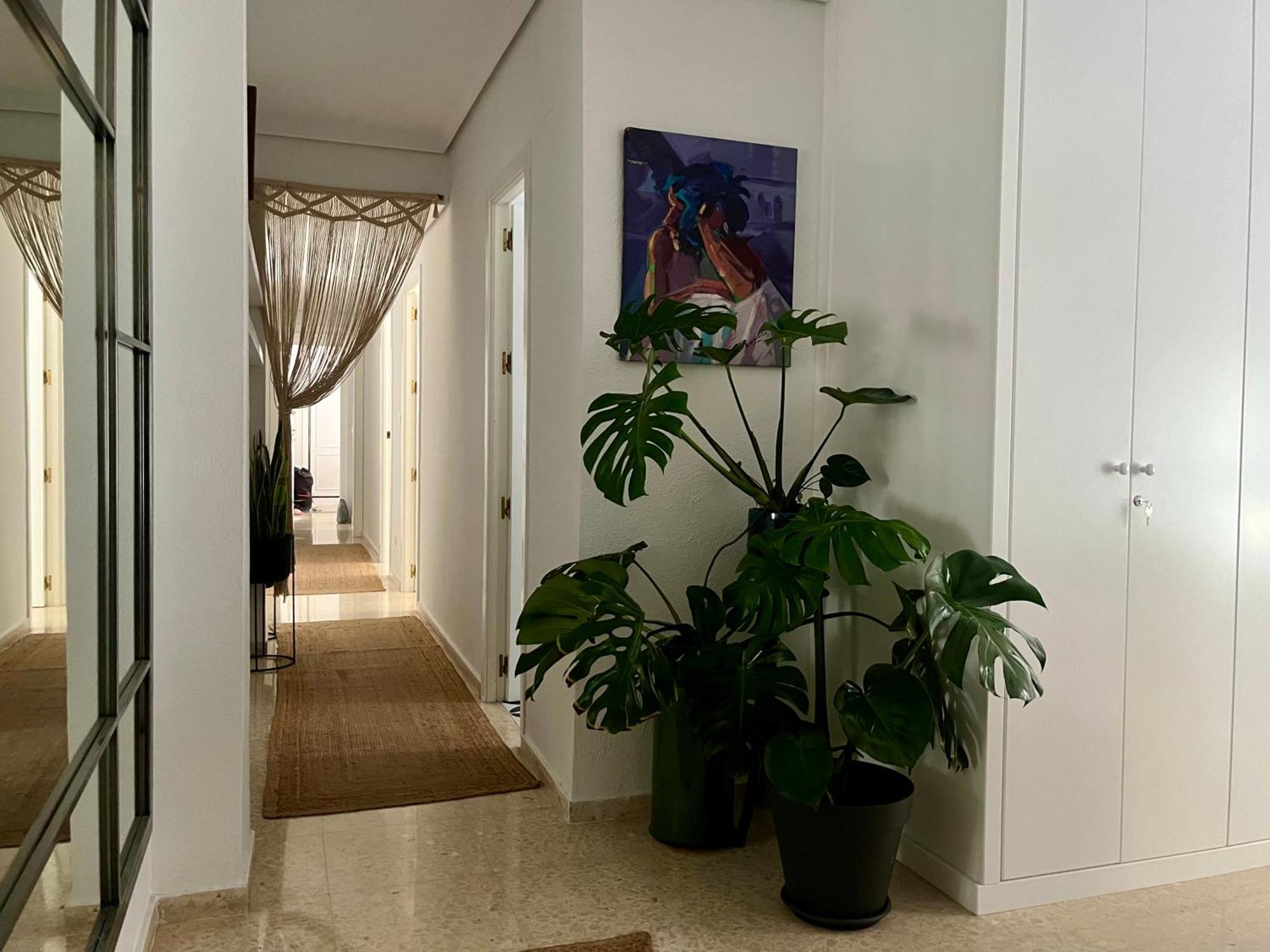 Apartament La Casa De Char Kordoba Zewnętrze zdjęcie