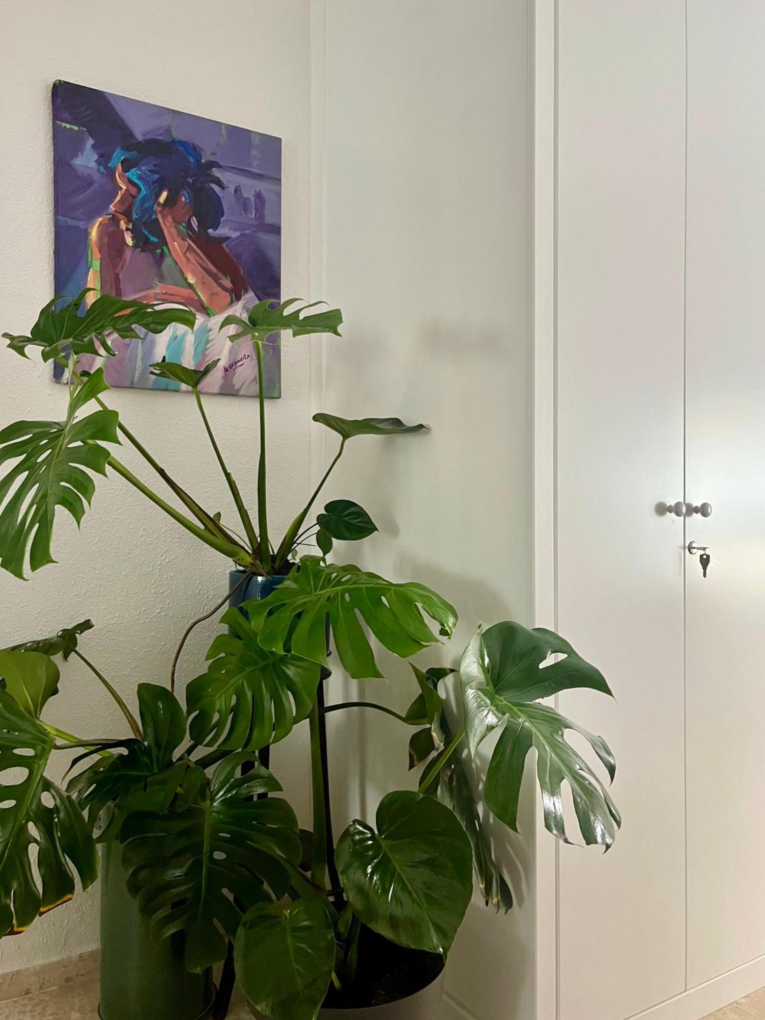 Apartament La Casa De Char Kordoba Zewnętrze zdjęcie